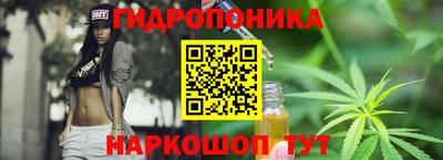 Альфа ПВП Будённовск