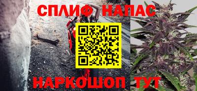 Альфа ПВП Будённовск