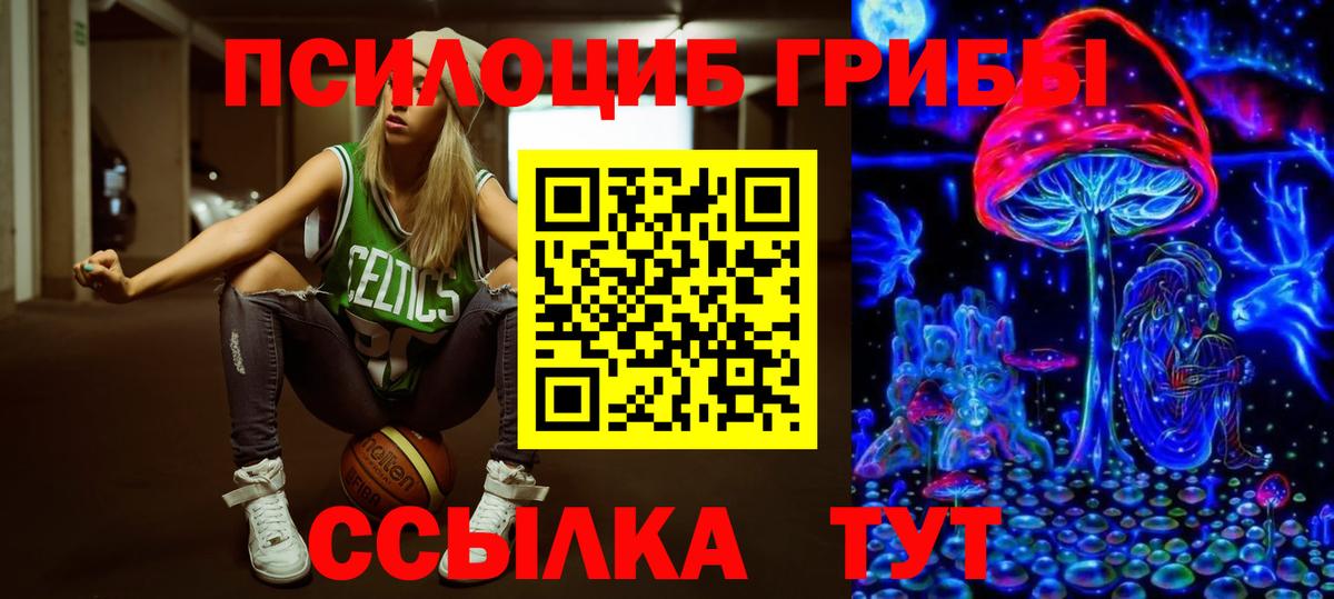 Псилоцибиновые грибы мухоморы Пенза