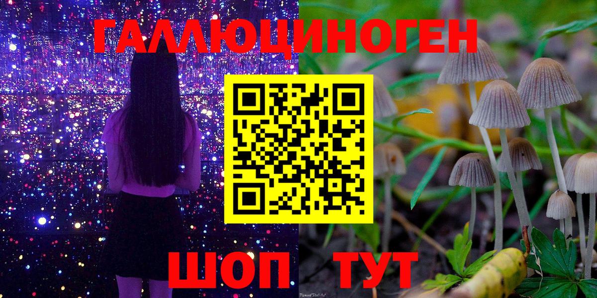 Псилоцибиновые грибы мицелий  Вход с VPN  Пенза 